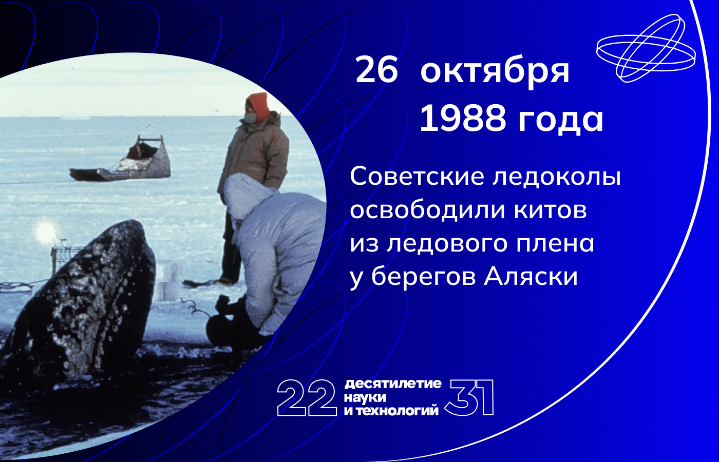 Российский ледокол спас китов. Спасение китов на Аляске советским ледоколом. Советский ледокол спас китов.